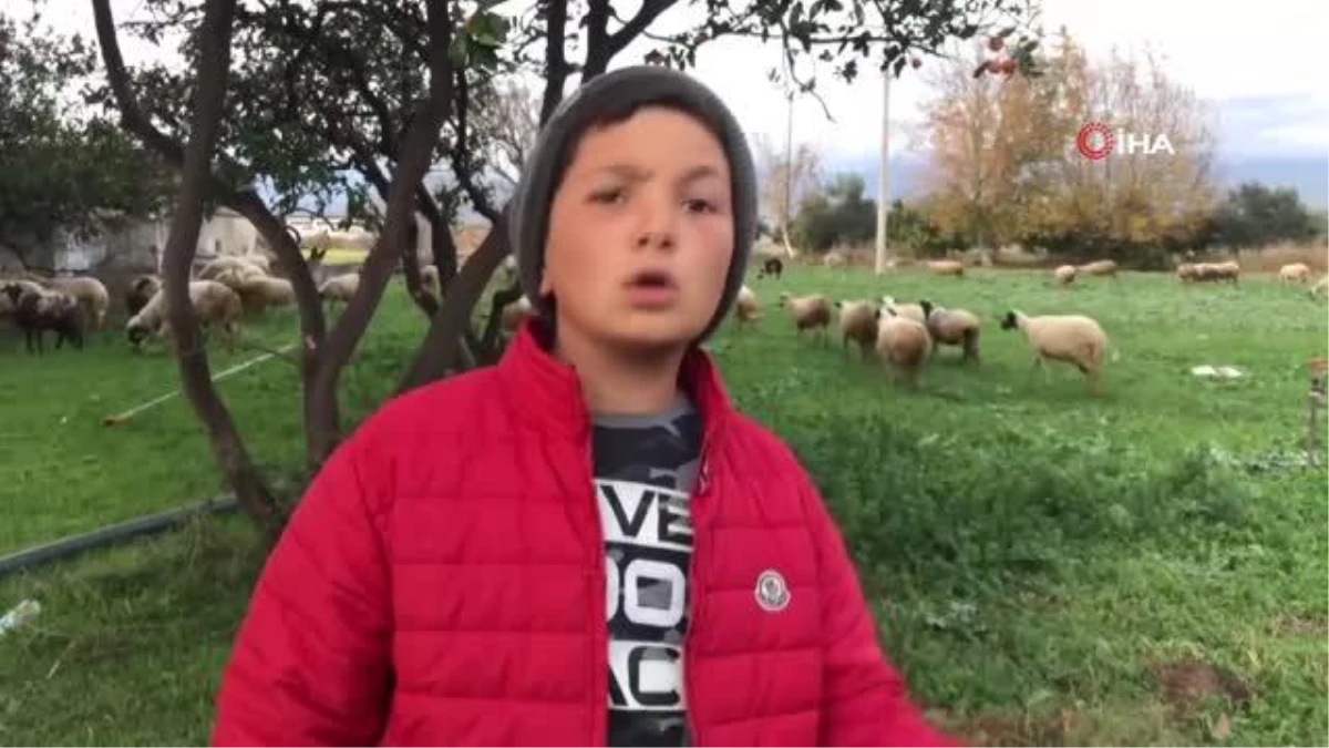 12 yaşındaki küçük çoban videolarıyla fenomen oldu
