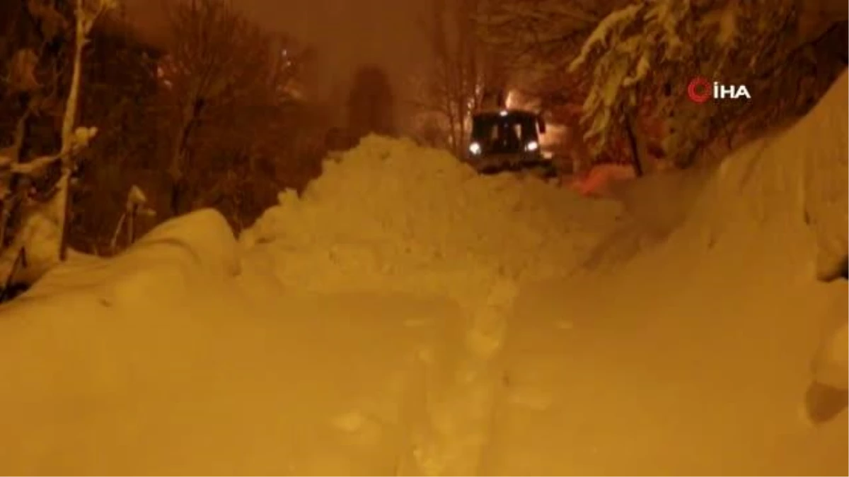 Bitlis Belediyesinin karla mücadelesi gecede devam ediyor