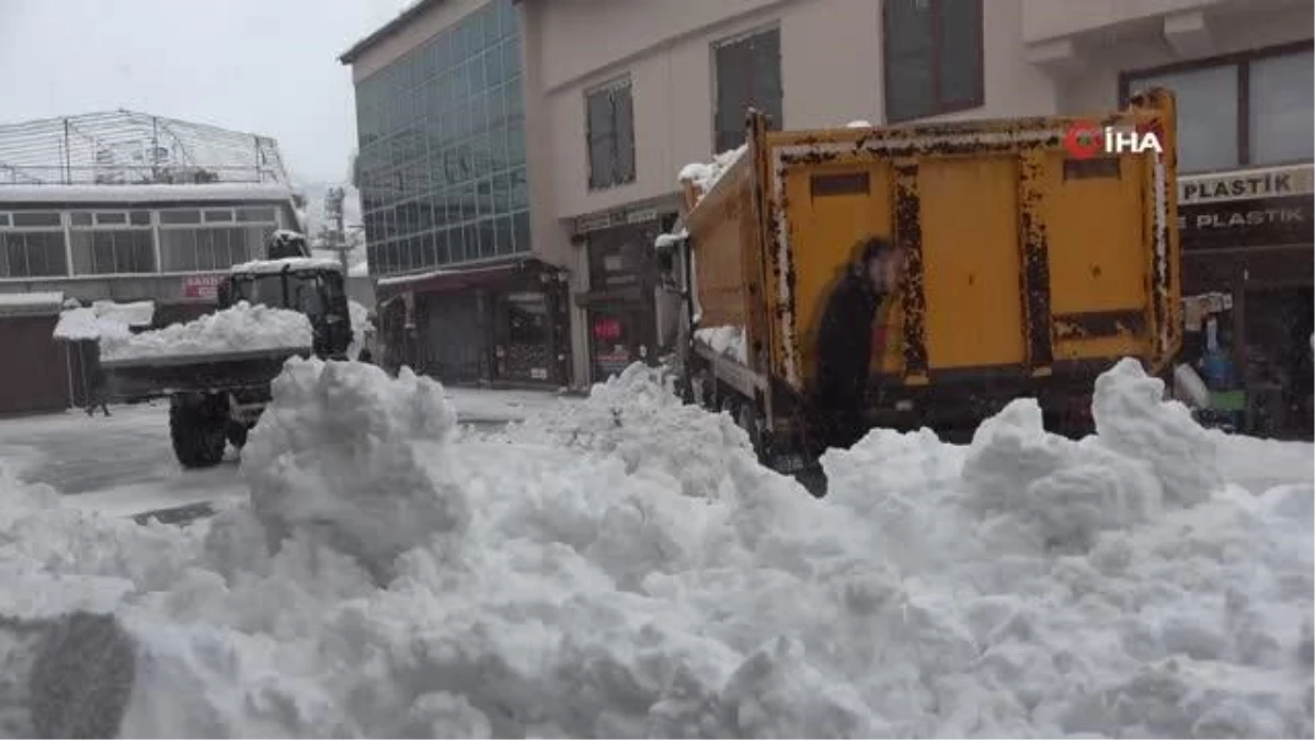 Bitlis\'te günlük 200 kamyon kar şehir dışına taşınıyor