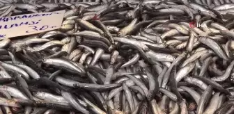 Fiyatların arttığı balık pazarında ümitler av yasağının kalkacağı güne çevrildi