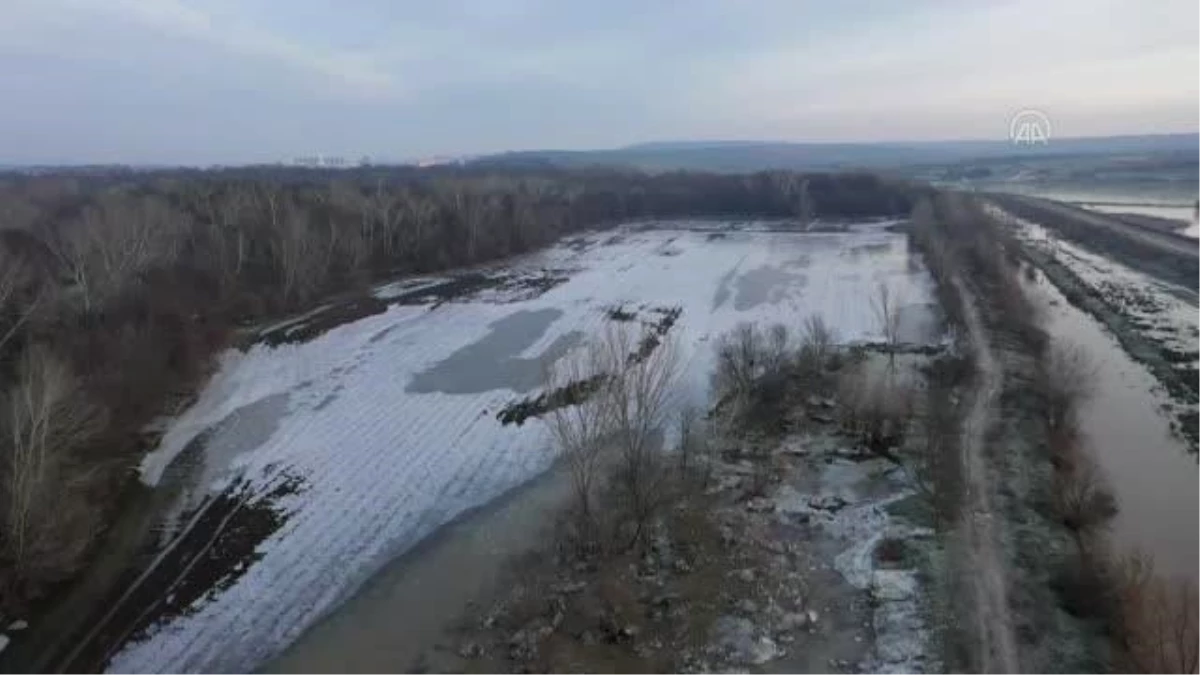 Tunca Nehri kenarındaki tarlalar soğuk nedeniyle buz tuttu