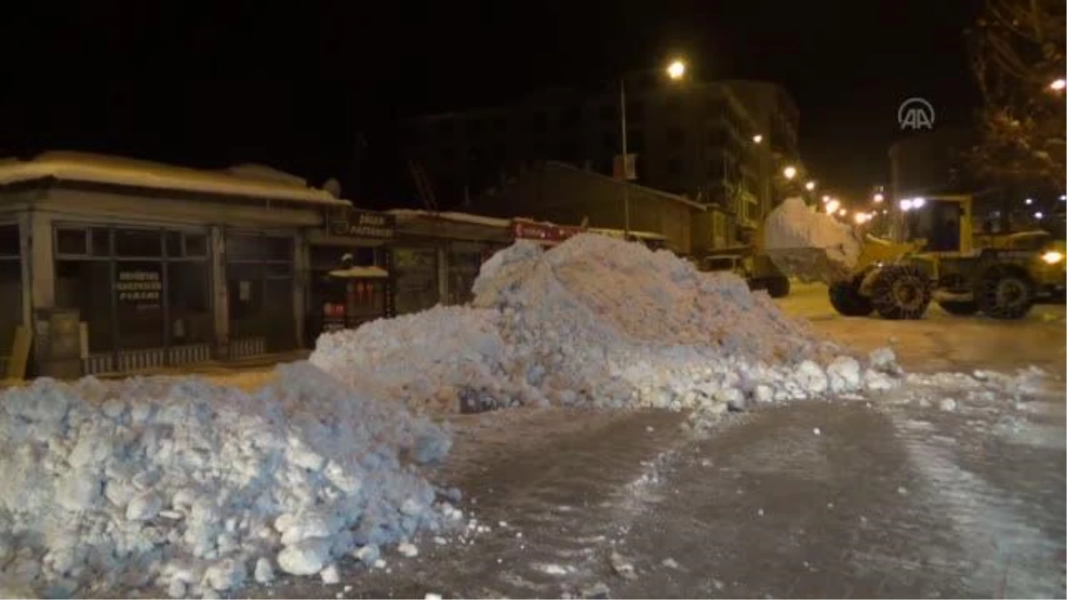 Ahlat Belediyesinden karla mücadele çalışması