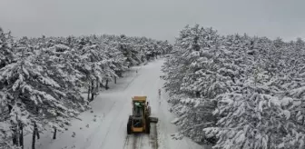Bursa Valiliği'nden don ve buzlanma uyarısı