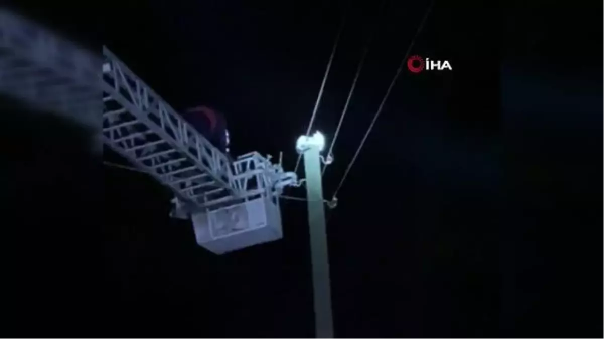 Elektrik direğinde mahsur kalan kediyi itfaiye ekipleri kurtardı
