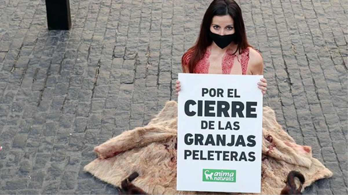 İspanya\'da çırılçıplak soyunan kadın, kürk protestosu yaptı