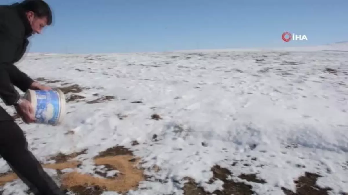 Yaban hayatını unutmadılar, doğaya yem bıraktılar