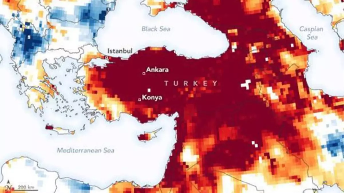 Doğal Hayatı Koruma Vakfı\'ndan Türkiye\'ye kuraklık için seferberlik çağrısı: 10 şehir risk altında