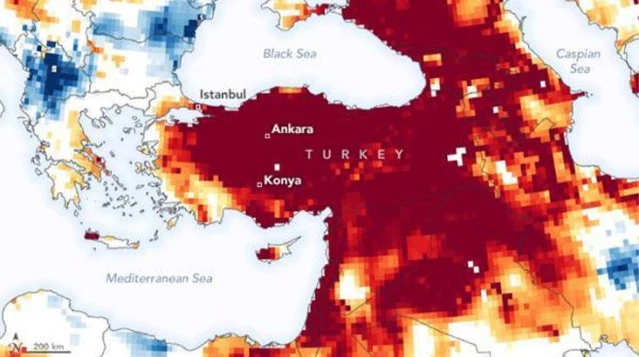 Doğal Hayatı Koruma Vakfı'ndan Türkiye'ye kuraklık için seferberlik çağrısı: 10 şehir risk altında - Son Dakika