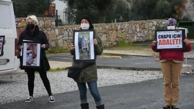 Genç kıza saldırdığı ileri sürülen köpeğin kamyonetle ezilmesi protesto edildi