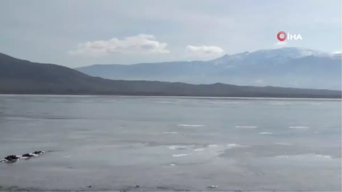 Göller bölgesinde su kuşu sayımına başlandı