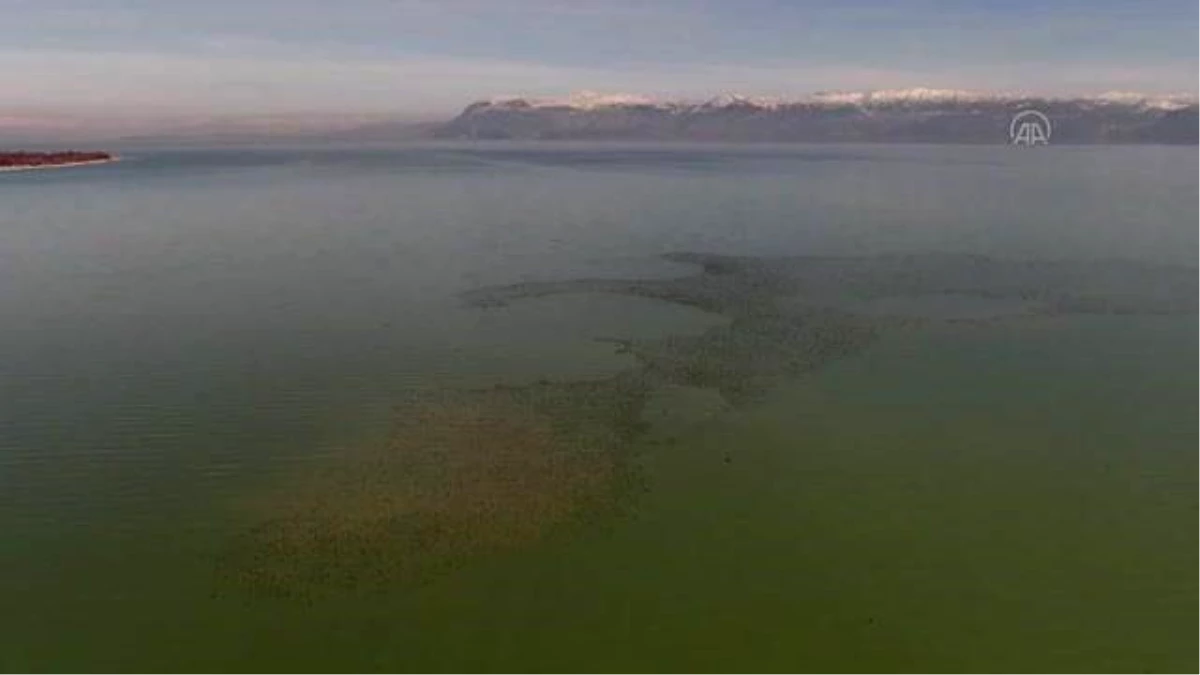 Göller Yöresi\'nde bu yılki sayımlarda en çok sakarmeke, angıt ve çamurcun görüldü