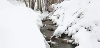 Irak'ta kar yağışı