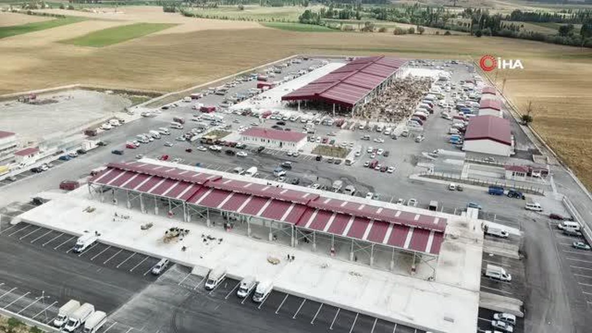 Kavurma ile marka olan Halk Et, hayvansal atıklardan sokak hayvanlarına mama üretecek