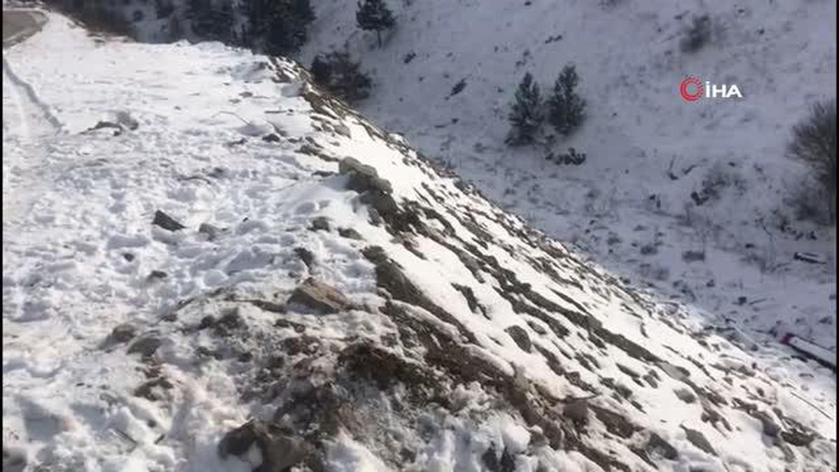 Köpekleri bayıltıp ölüme terk ettiler