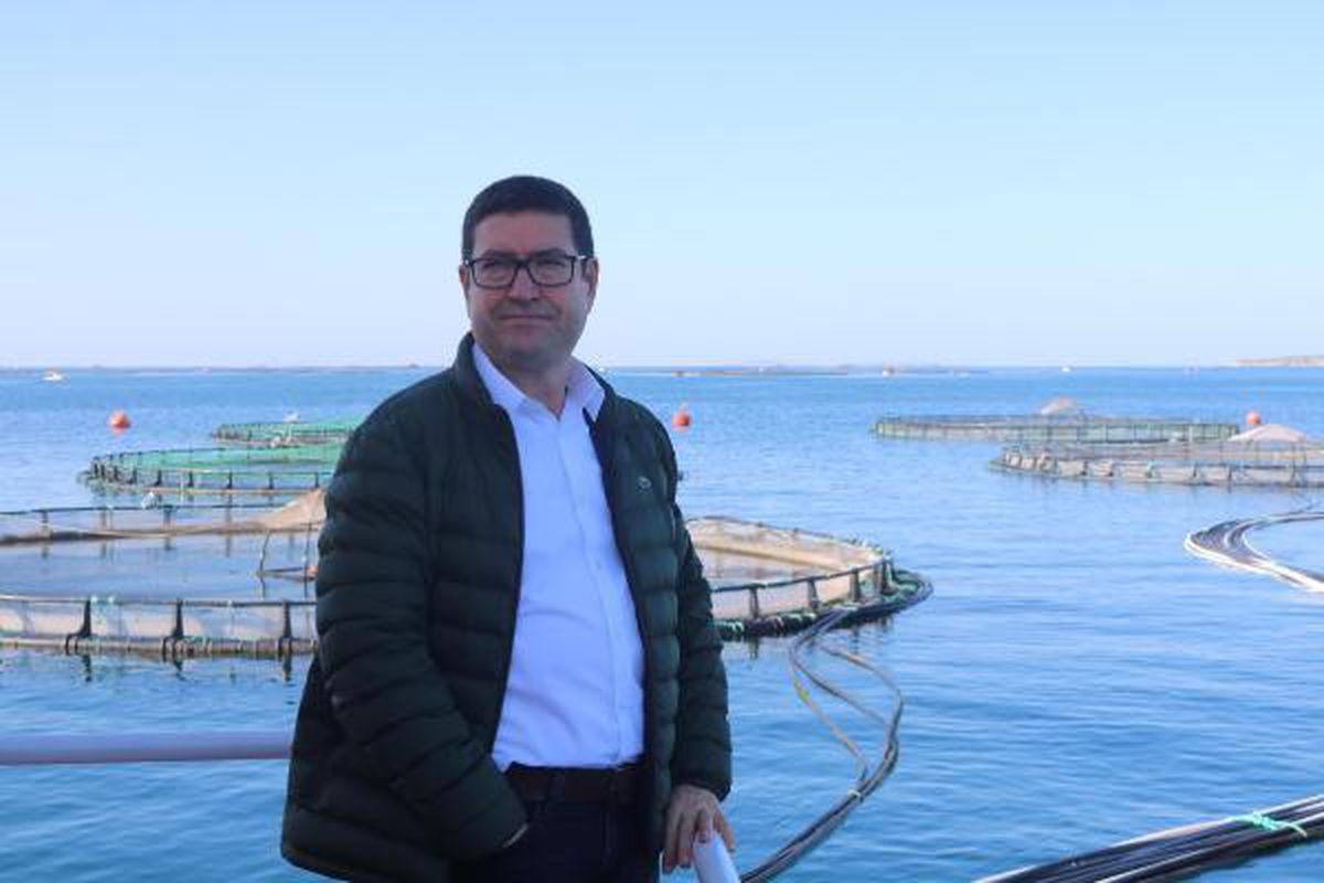 Muğla\'dan geçen yıl 78 ülkeye balık ihraç edildi
