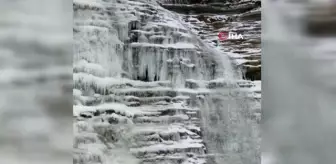 Sinop'ta şelale buz tuttu