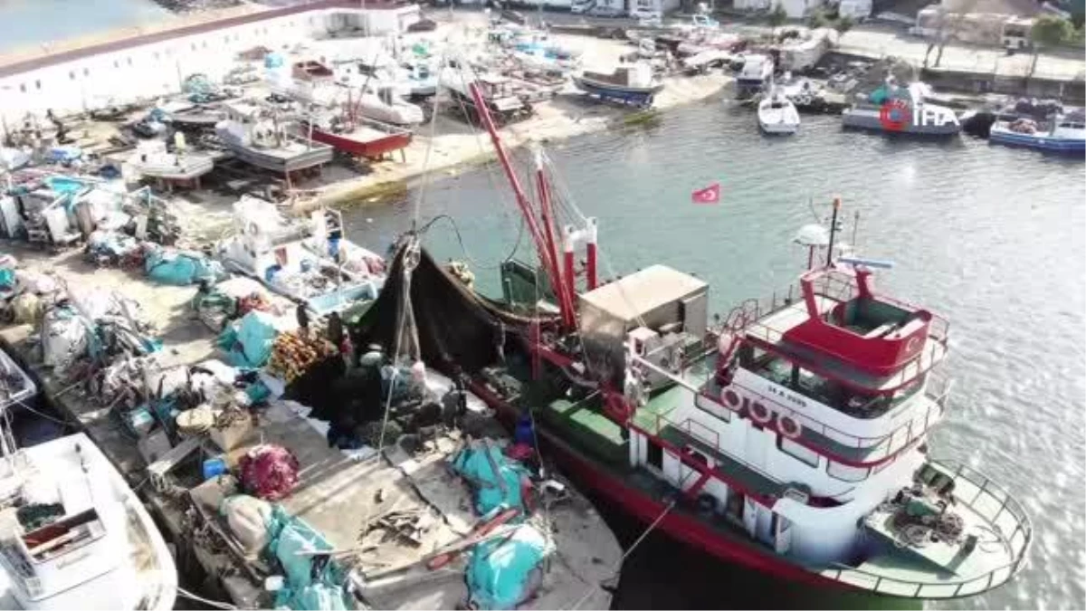 Uzatılan hamsi yasağı sonrası Şile Limanı balıkçı tekneleriyle doldu