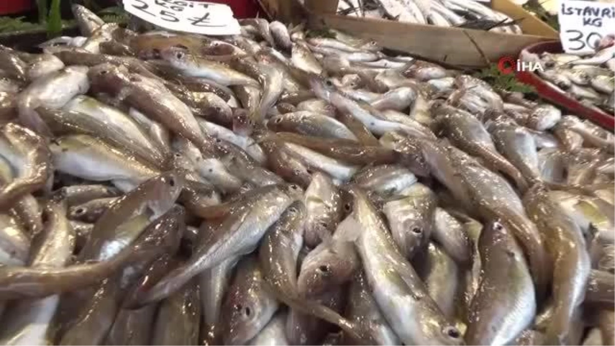 Düzceli balıkçılar vatandaşa ucuz balık yedirmek için yasağın kalkmasını bekliyor
