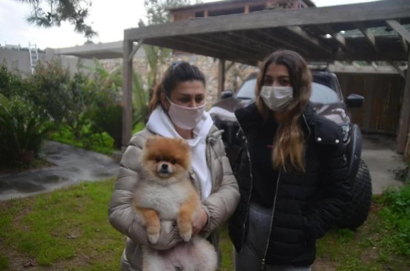 Kızını ısıran köpeği ezdiği öne sürülen anne: Köpeği kasıtlı ezmedim 