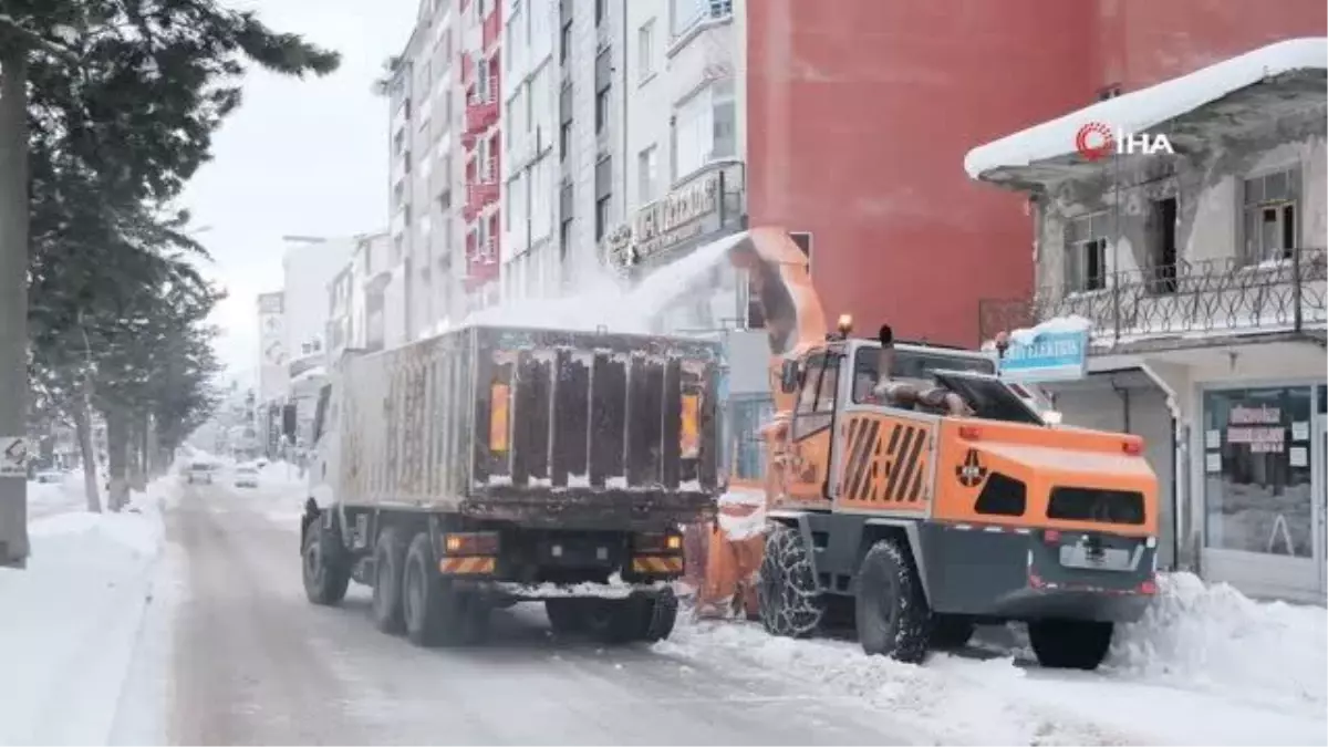 Tatvan\'da karlar kamyonlarla şehir dışına taşınıyor