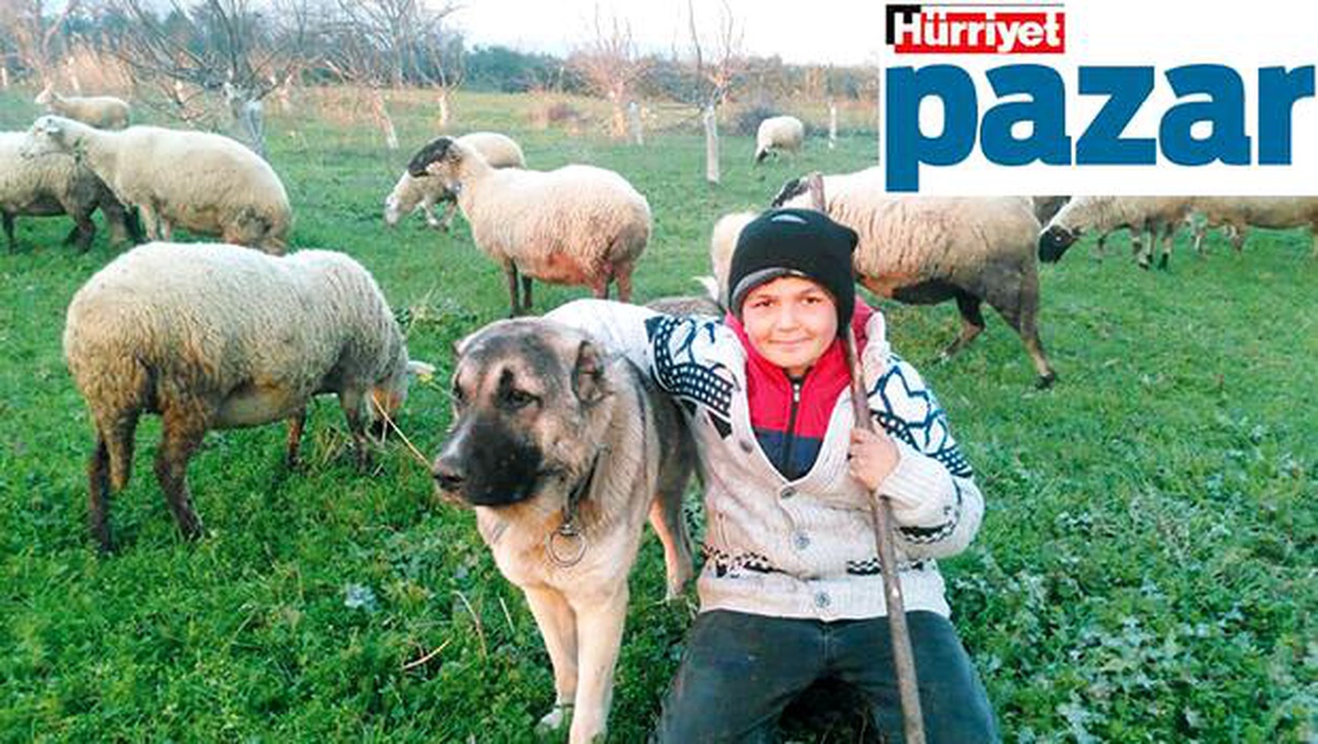 "Büyüyünce tarım bakanı olacak çocuk" diyenler var!