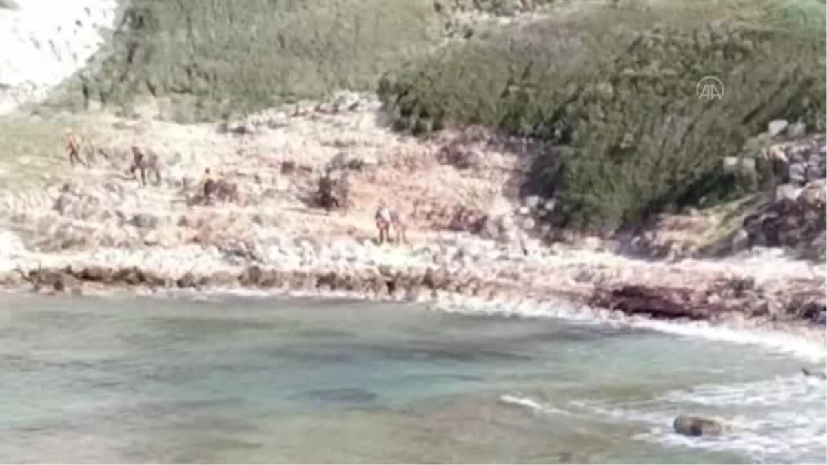 Datça\'da alabora olan teknedeki 3 kişi kurtarıldı, 1 kişi kayboldu