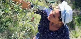 Kırmızı Oda dizisinin Kumru'su Aslıhan Gürbüz, çiftçi oldu