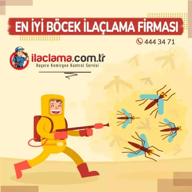 2021 En İyi Böcek İlaçlama Fiyatları Ne kadar Son Dakika