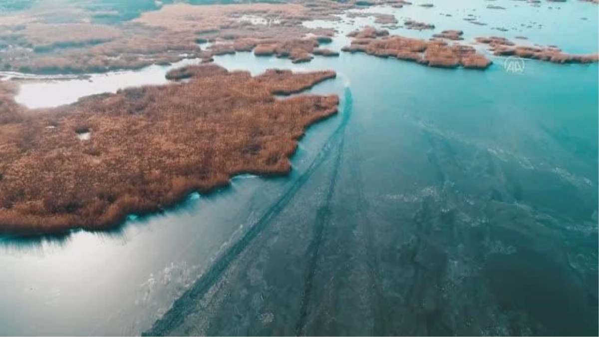 AFYONKARAHİSAR - Göçmen kuşların durağı Eber Gölü buz tutan yüzeyiyle de cazibe merkezi