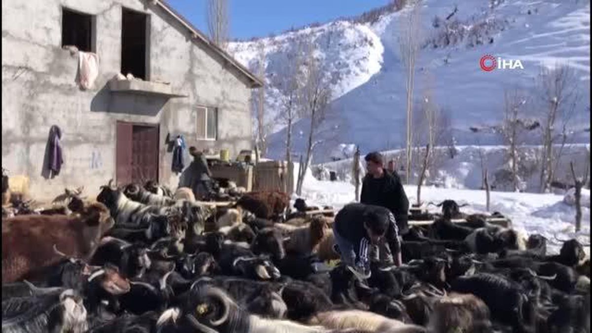 Hizan'da besicilerin zorlu kış mesaisi