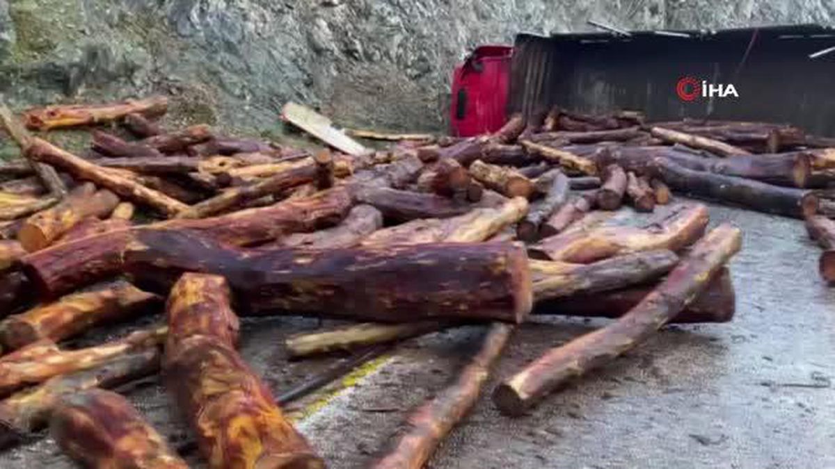 Tomruk yüklü tır devrildi, ilçe yolu ulaşıma kapandı
