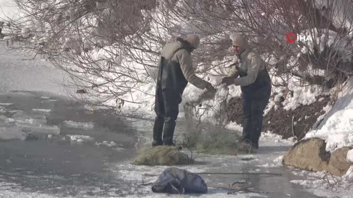 Yüksekova'da buz tutan derede 'eskimo usulü' balık avı