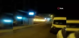 Aç kalan tilki şehir merkezine indi