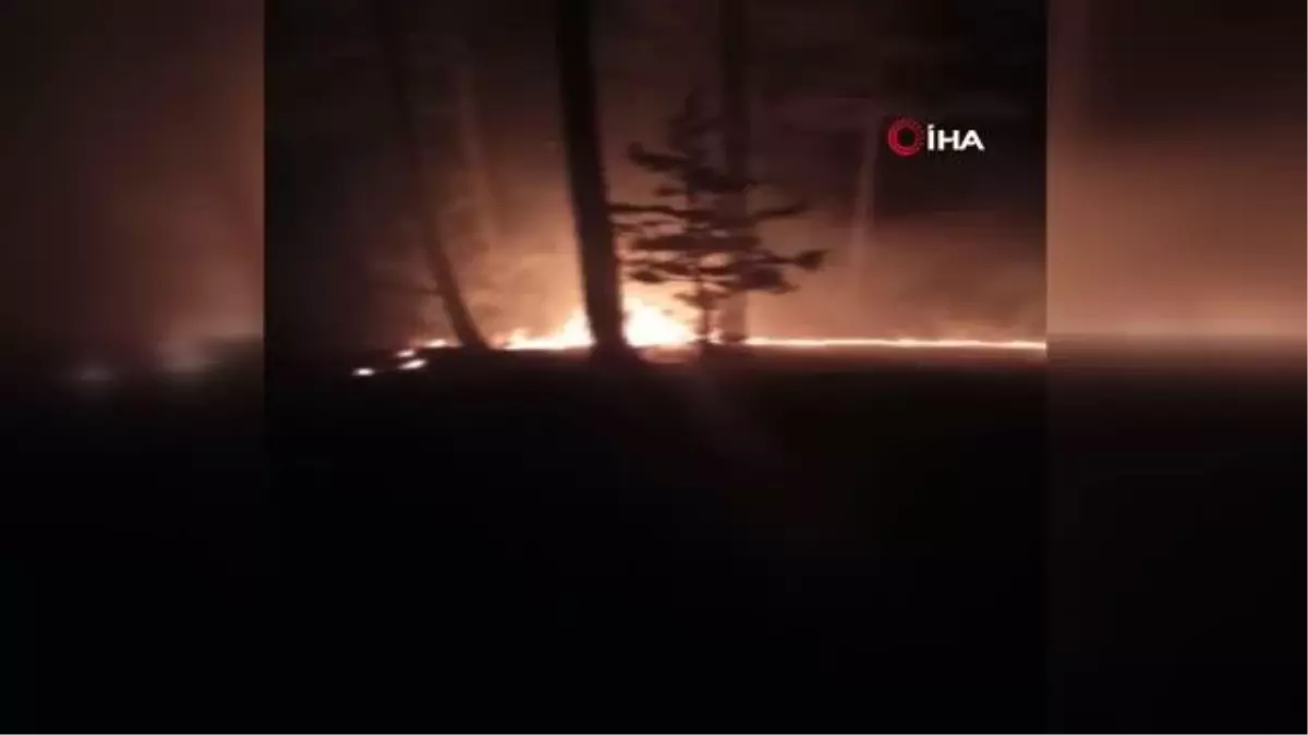 Adana'nı Pozantı ilçesinde ormanlık alanda yangın