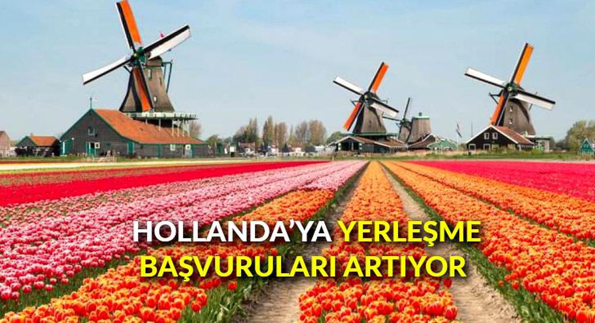 Hollanda\'ya yerleşme başvuruları artıyor