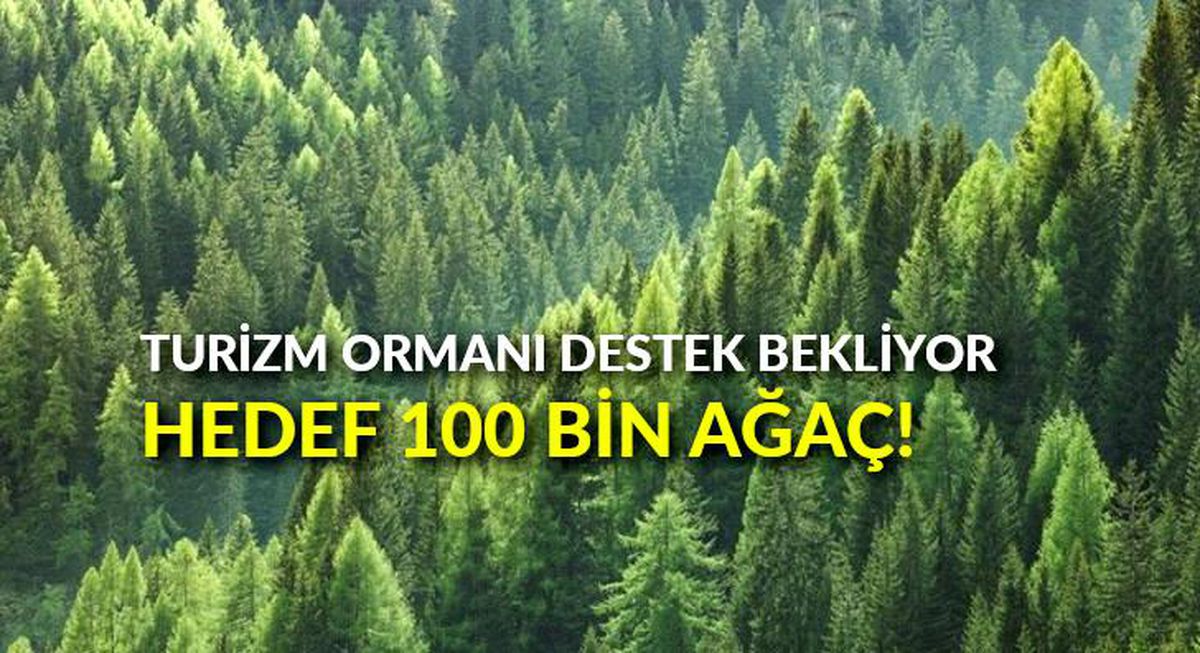 Turizm Ormanı destek bekliyor: Hedef 100 bin ağaç!