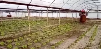 Burdur'da aşırı yağış, dereleri taşırdı yollar kapandı