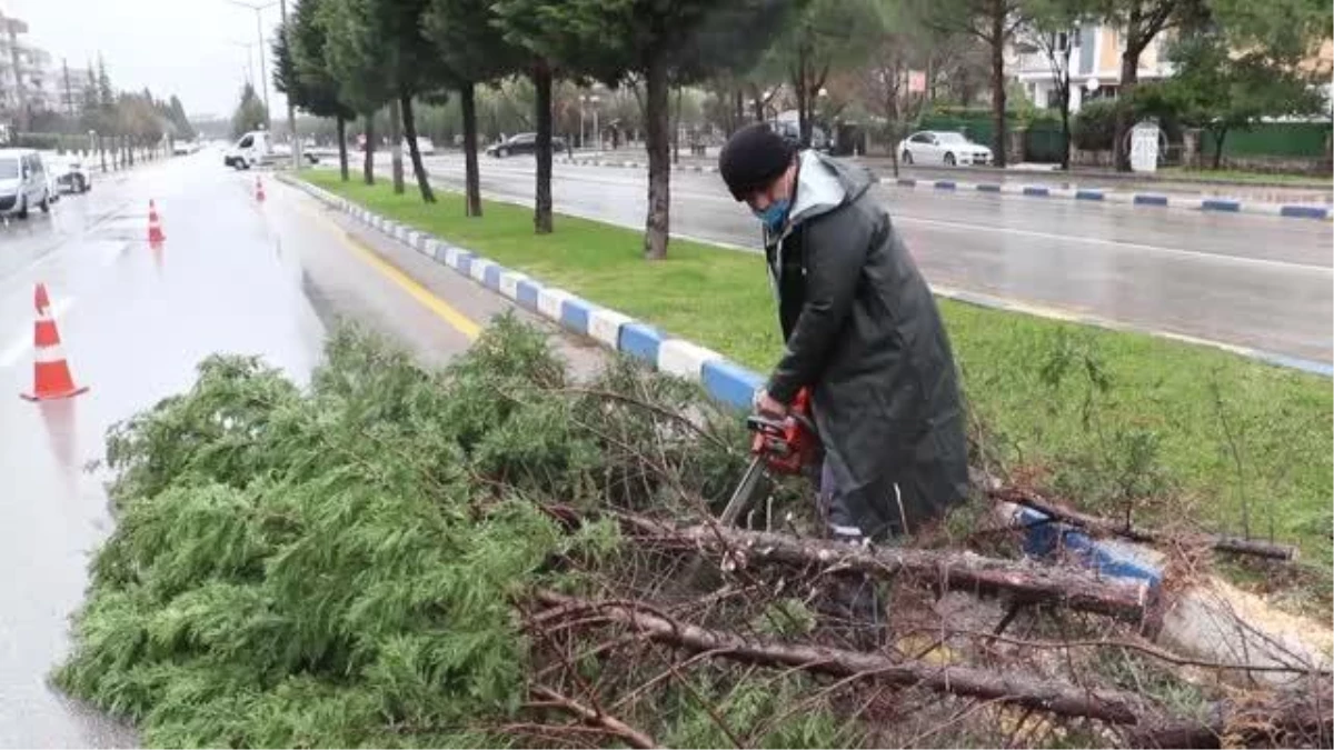 Fırtına ve sağanak nedeniyle çatılar uçtu, ağaçlar devrildi