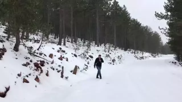 Köyceğiz'de kar yağışı hayatı olumsuz etkiliyor