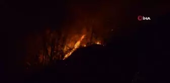 Ordu'da örtü yangınları devam ediyor