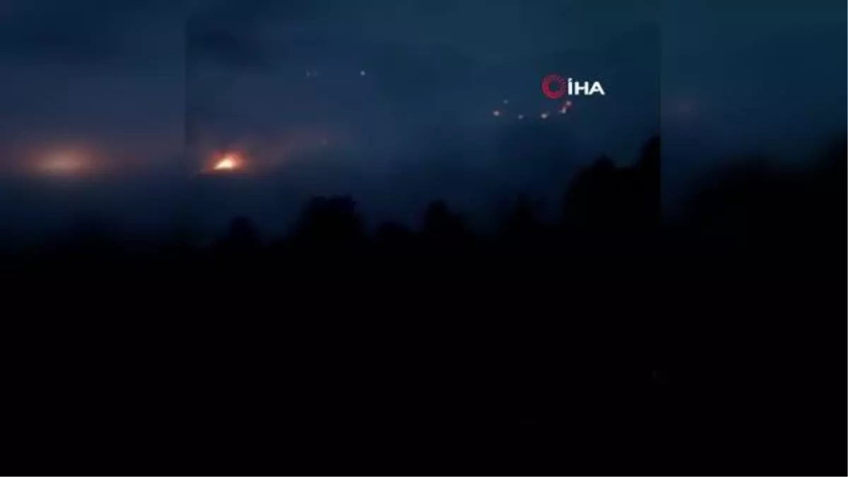 Sinop'ta orman yangını