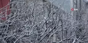 Tekirdağ'da kar yağışı sürüyor