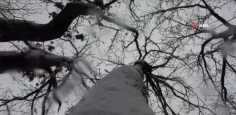 Tekirdağ'da kar yağışı sürüyor