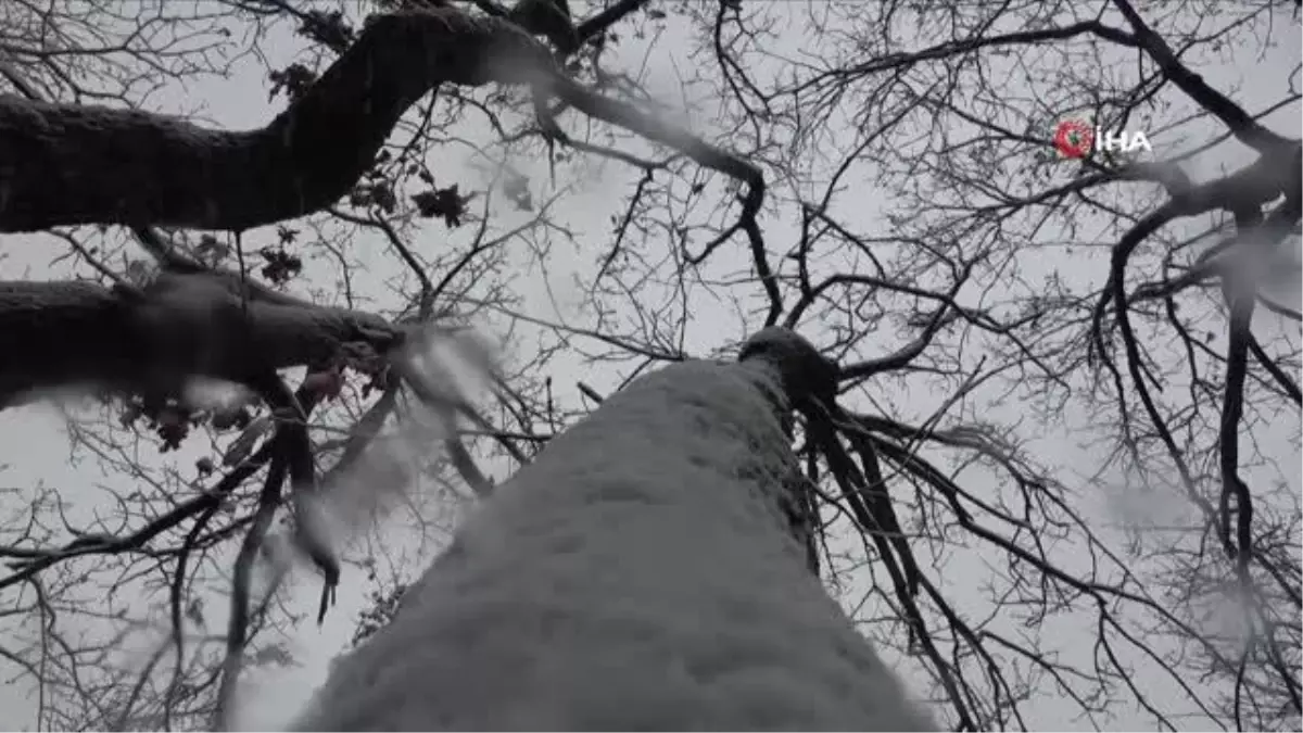 Tekirdağ'da kar yağışı sürüyor