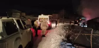 At ve yavrusunu ısıtmak için yaktığı ateş 385 bin TL'ye mal oldu