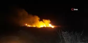 Son Dakika | Samsun'da sazlık yangını