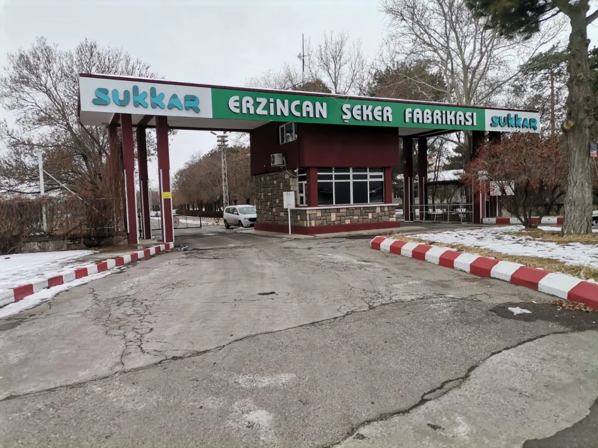 Sukkar Şeker, üretimde geçen yılları katladı