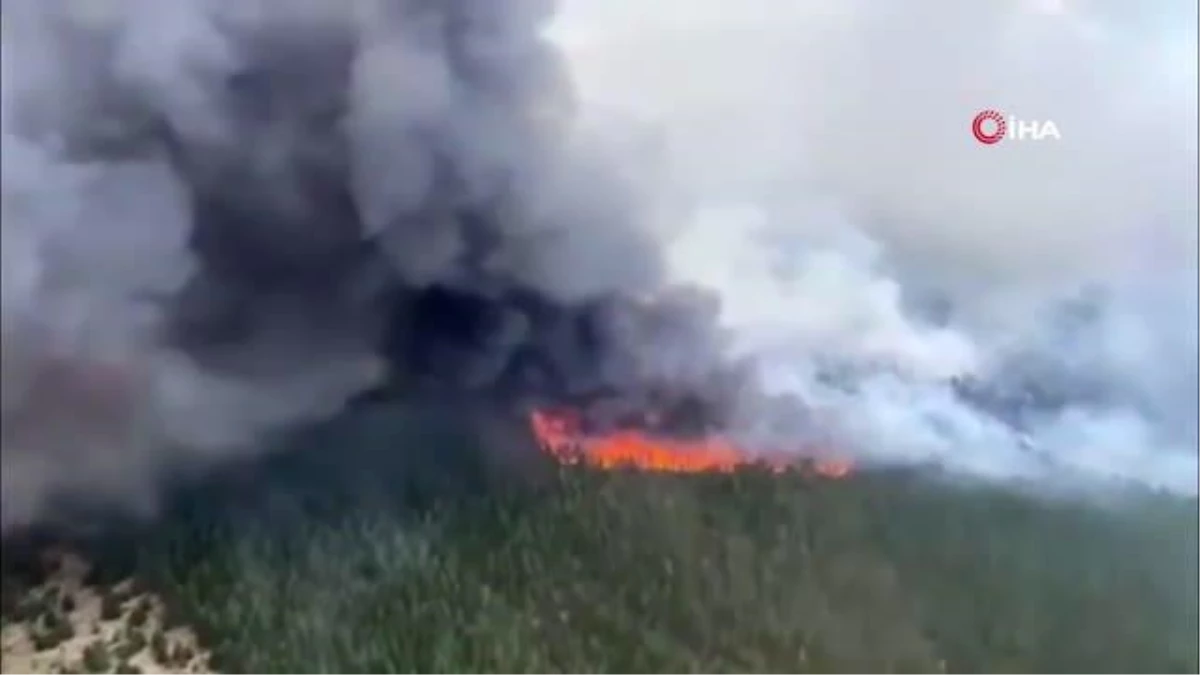 Son dakika: Arjantin\'deki yangında 10 bin hektar ormanlık alan küle döndü