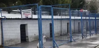 Belediye yönetiminden hayvan bakım merkezine ziyaret