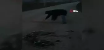Bir çuval kırık alkol şişesini yolun ortasına boşalttılar